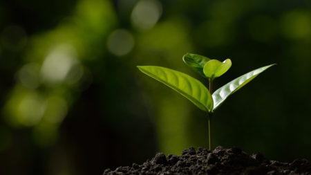 Healthy Growth