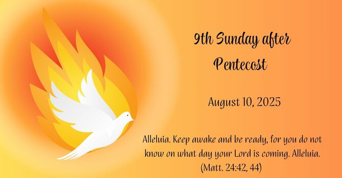 9th Sunday after Pentecost  image