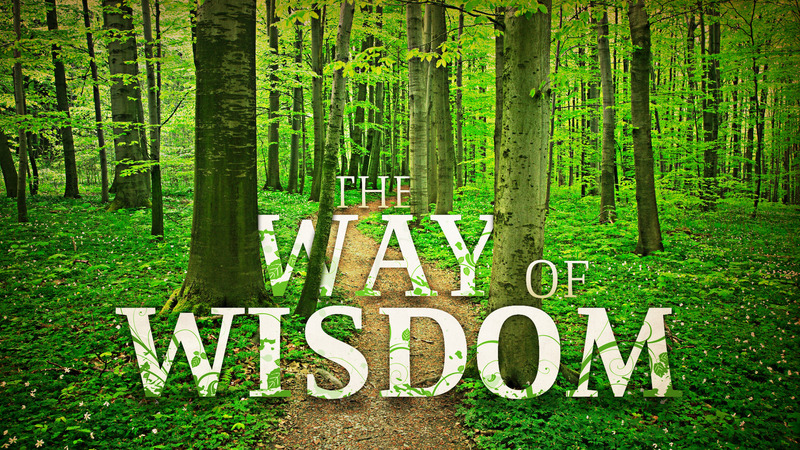 The Generous Life: Honoring God with All You Have