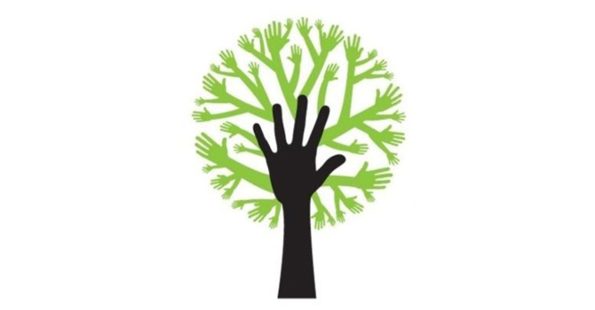 Life Groups