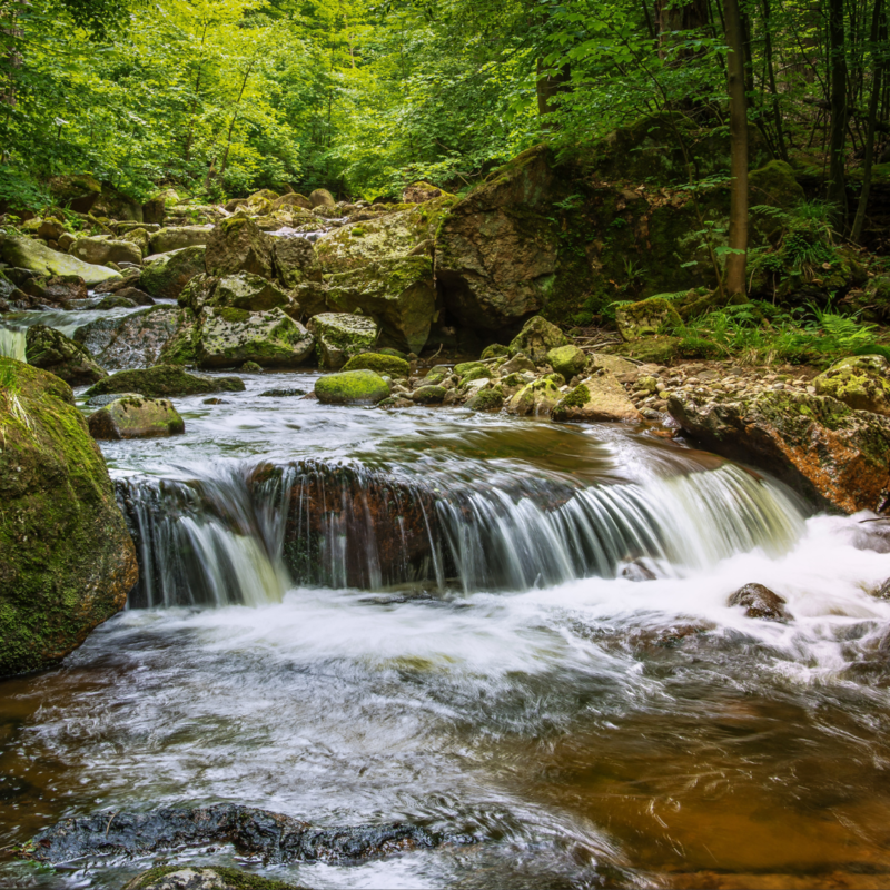 Faith In The Flow