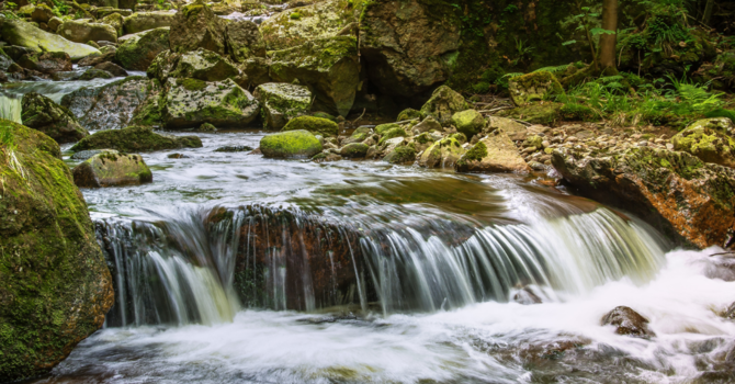 Faith In The Flow