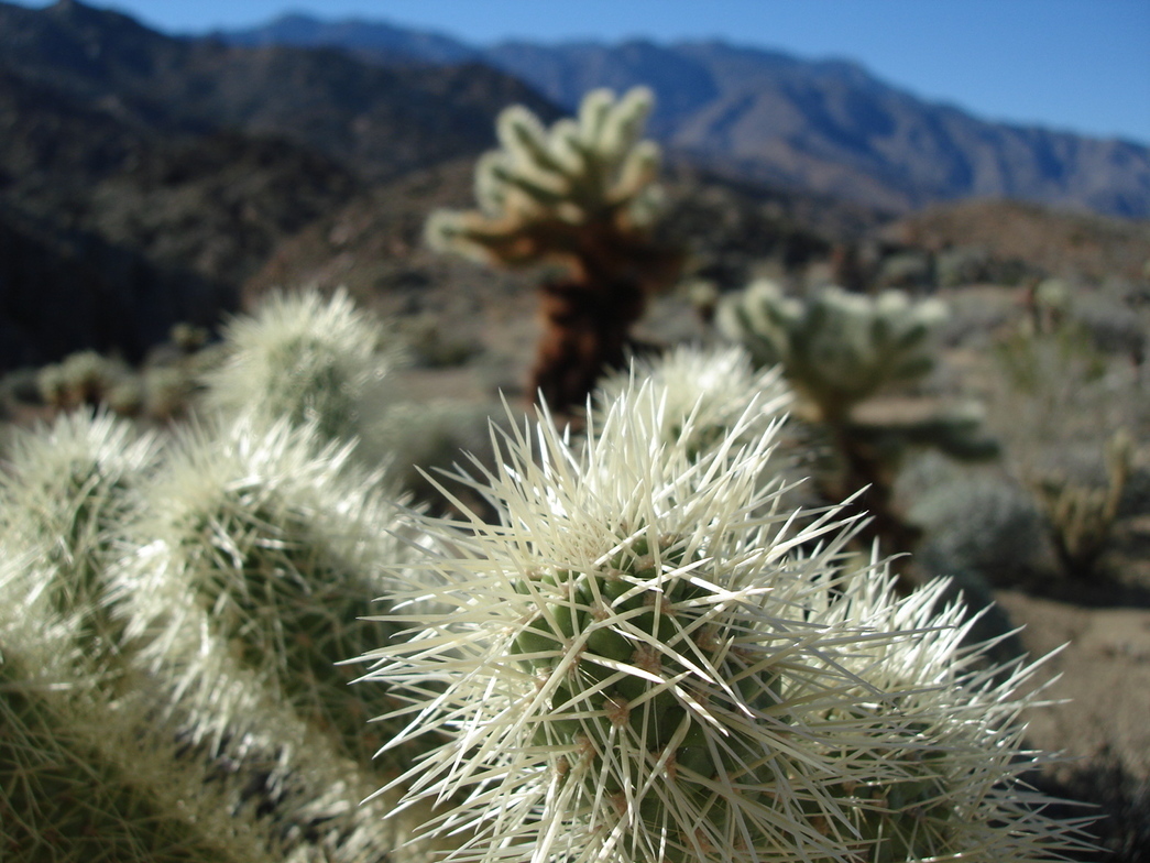 Slideshow image