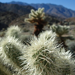 nav image