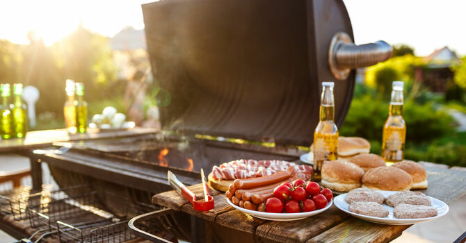 Farewell and Appreciation BBQ 