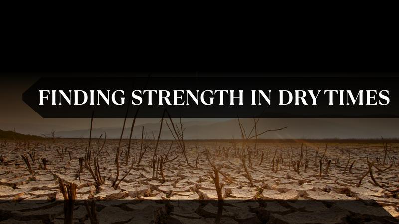 Finding Strength in Dry Times