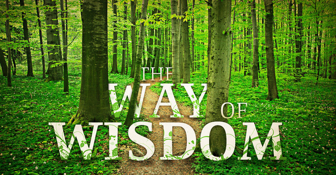 The Generous Life: Honoring God with All You Have