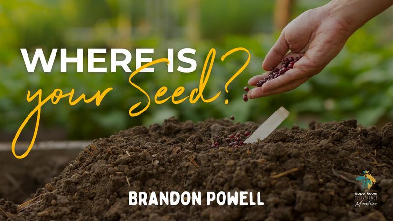 Where Is Your Seed?
