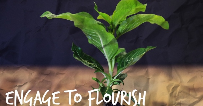 Ep. 172 *Bonus* Living In The Joseph Season