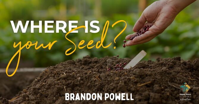 Where Is Your Seed?