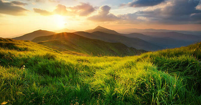 Awakening to New Life image