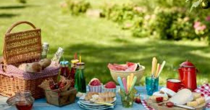 Young Adults Picnic