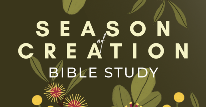 Season of Creation Bible Study