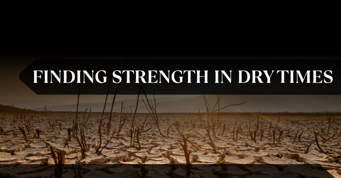 Finding Strength in Dry Times