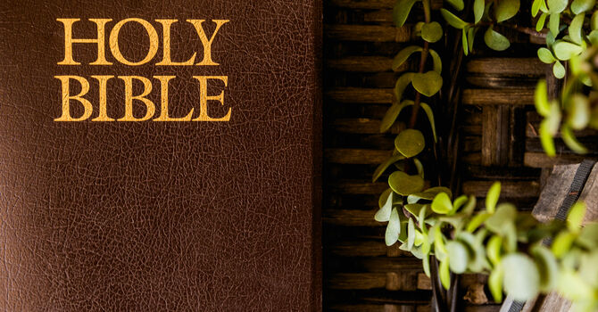 Bible Study