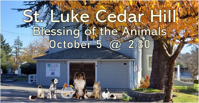 Blessing of the Animals Service