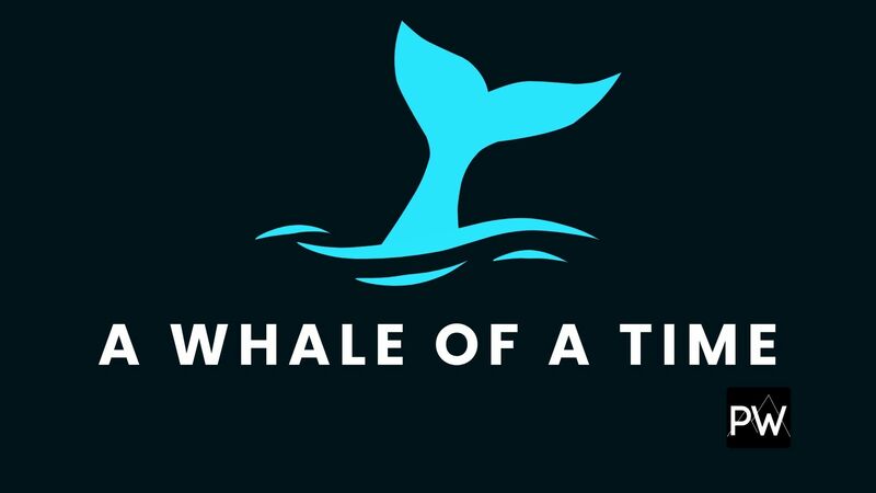 A Whale Of A Time 2