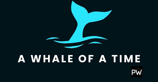 A Whale Of A Time 2