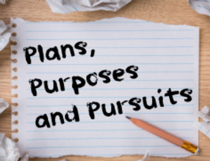Plans, Purposes and Pursuits