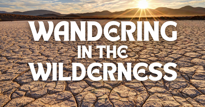 Wandering In The Wilderness