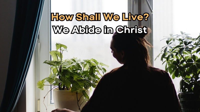 We Abide in Christ