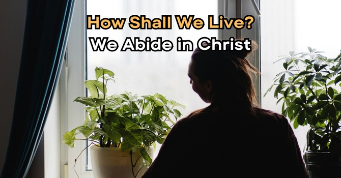 We Abide in Christ