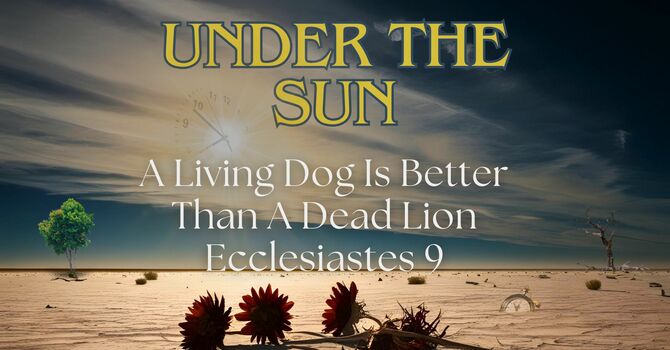 A Living Dog Is Better Than A Dead Lion