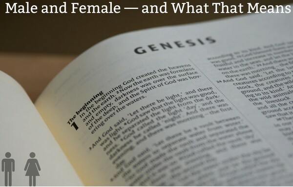 Male and Female -- And What That Means