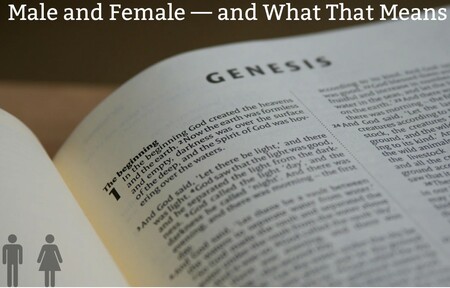 Male and Female -- And What That Means