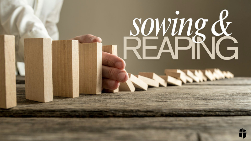 Sowing & Reaping