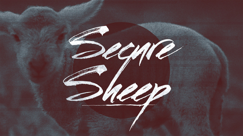 Secure Sheep