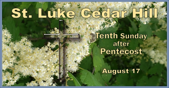 Services for the Tenth Sunday after Pentecost