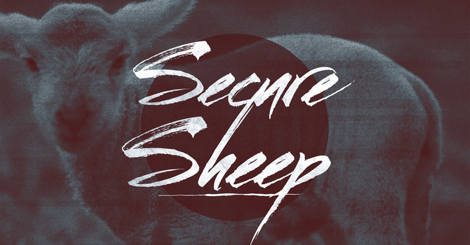 Secure Sheep