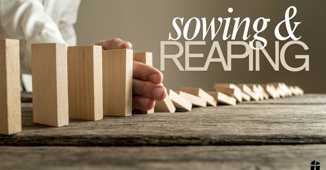 Sowing & Reaping