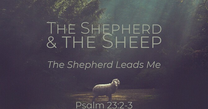 "The Shepherd & the Sheep | The Shepherd Leads Me"