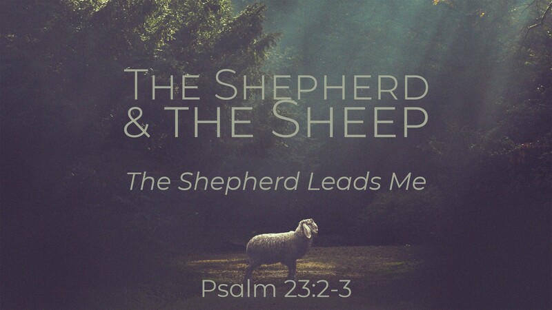 "The Shepherd & the Sheep | The Shepherd Leads Me"