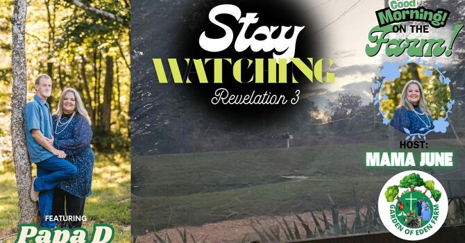 Stay Watching - Rev 3 image