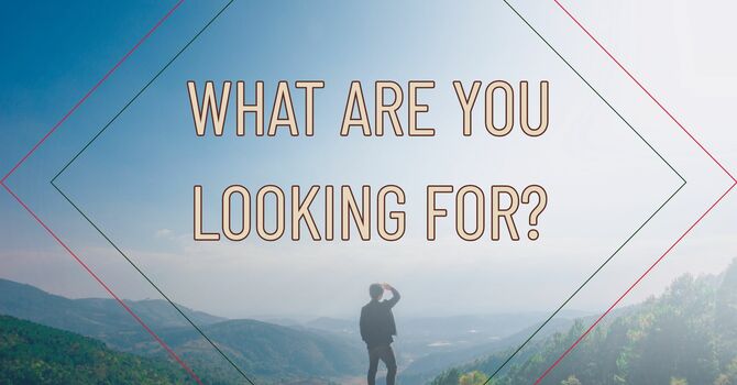 What Are You Looking For?