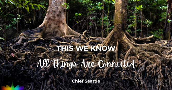 A Connection to the World
