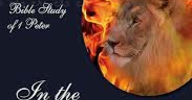 Ladies Bible Study