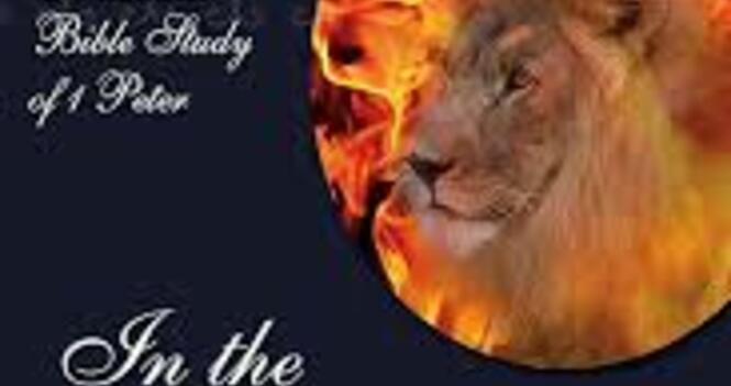Ladies Bible Study