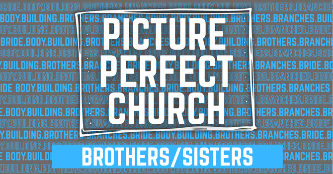 Brothers/Sisters