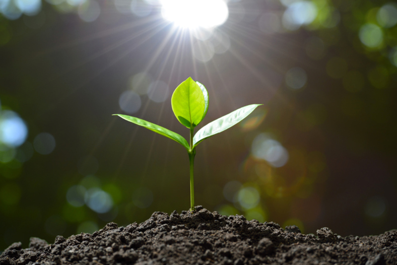 Living Abundant Lives