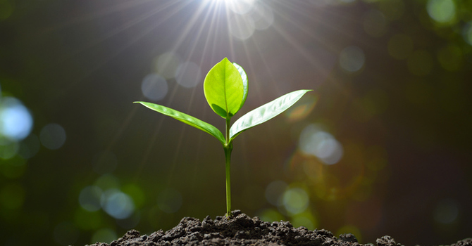 Living Abundant Lives