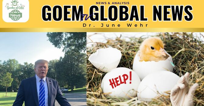 Exercise Pegasus Pandemic Exercise in EU, Trump & Martial Law Cont'd, Interview about Vaccinating our Chickens!, Technology, China, & More! image