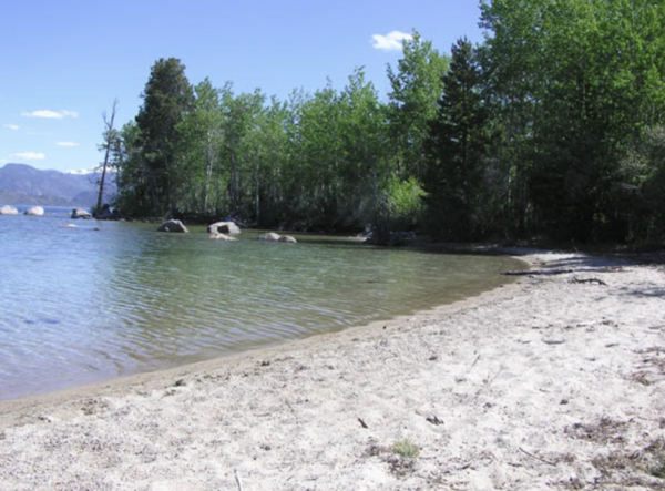 Weekly Update for the Sandy Beach Service!