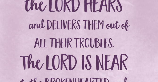 Fighter Verse | August 10, 2025 image