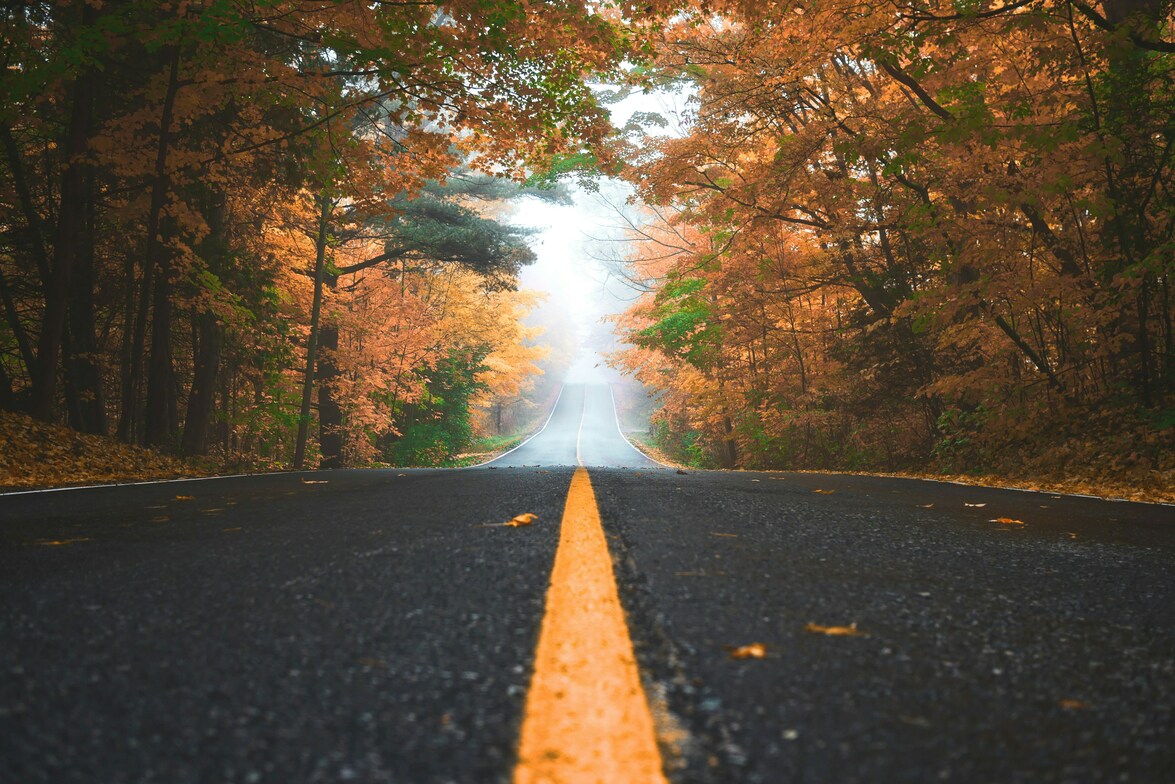 Slideshow image