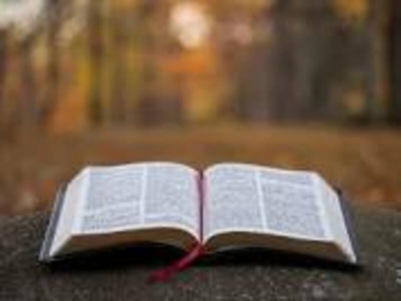 In the Wilderness, Navigating Difficult Times