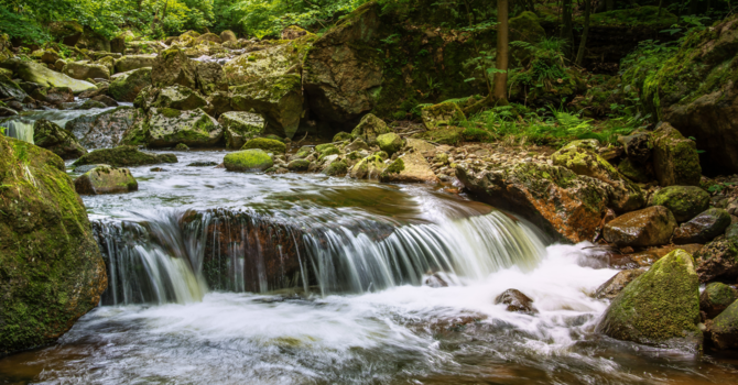 Faith In The Flow